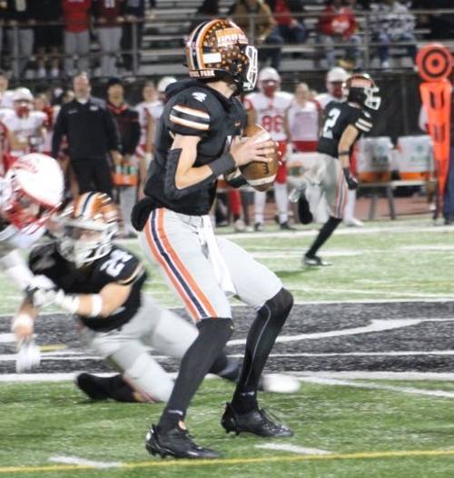 QBHL Player Tanner Pfeuffer Profile image