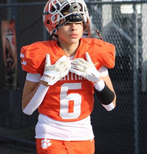 QBHL Player Diego Mares Profile image