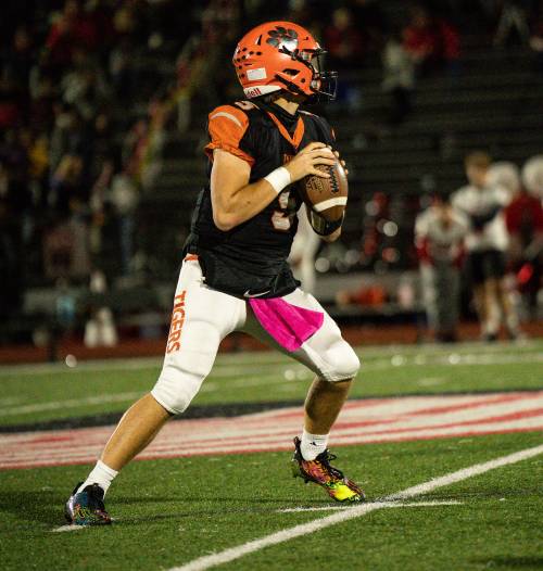 QBHL Player Anthony Trongone Profile image