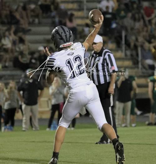 QBHL Player Tre Kelly Profile image